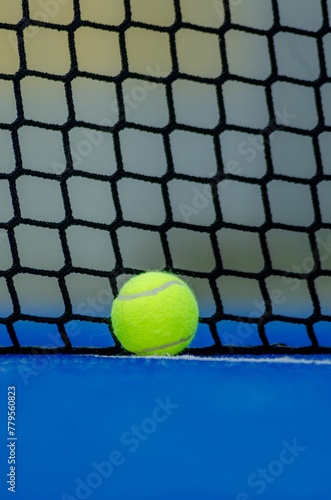 Paddle tennis ball in front of a blue court net. © Wirestock