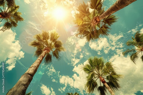 Vintage: Palm Trees, Sunshine, and Blue Skies  © Web