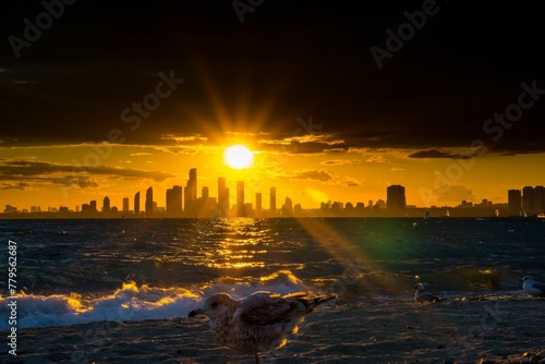 Silhouette of buildings surrounded by water in Toronto during sunset