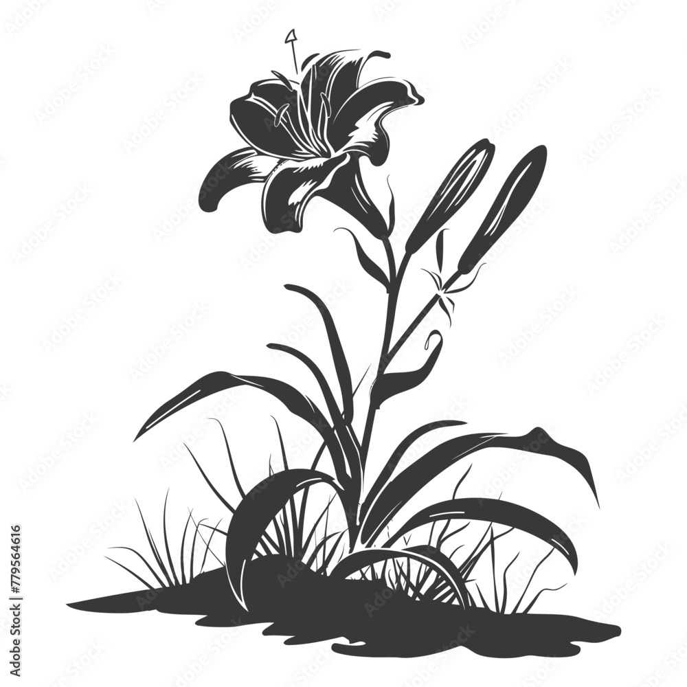 Silhouette Lily flower in the ground black color only Silhouette Lily flower in the ground black color only