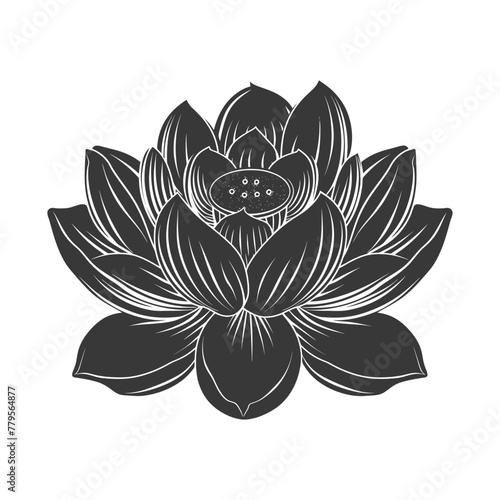 Silhouette lotus flower black color only
