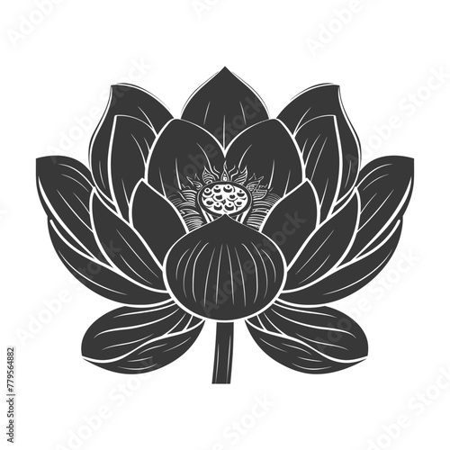 Silhouette lotus flower black color only
