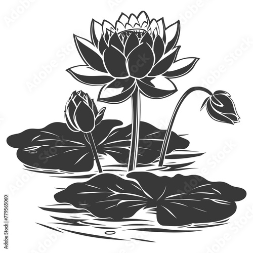 Silhouette lotus flower in the water black color only