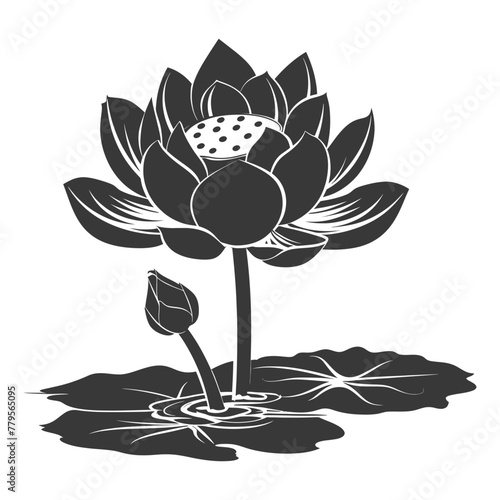 Silhouette lotus flower in the water black color only