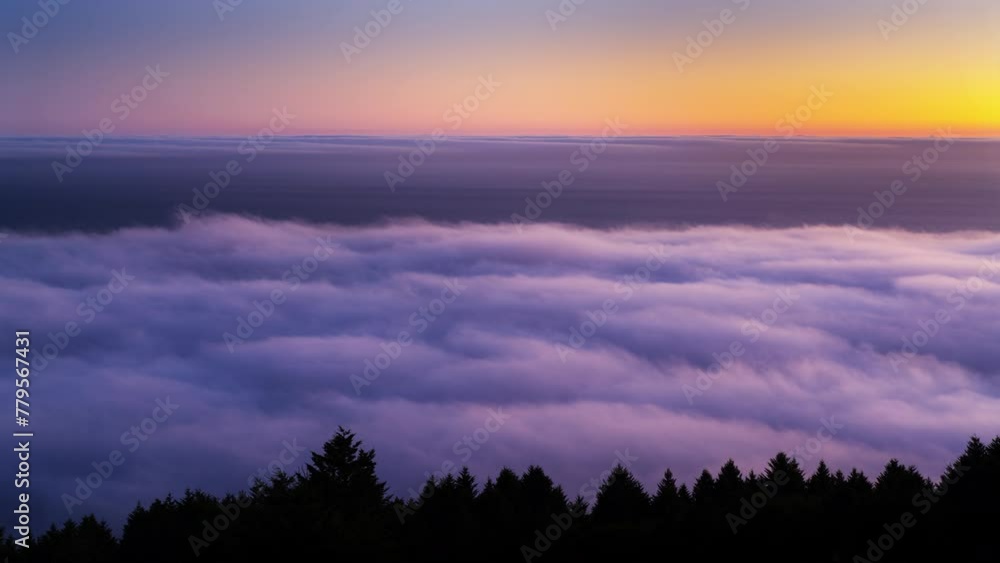 Northern California Mt Tam Fog Over Ocean and Trees in Marin County Bay Area Coast Northern California Mt Tam Fog Over Ocean and Trees in Marin County Bay Area Coast