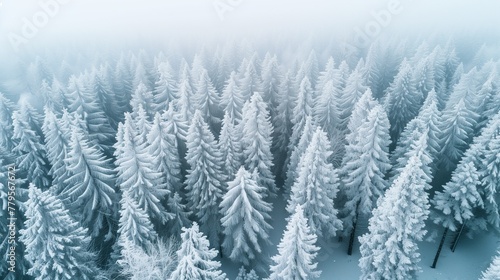 AI generated illustration of snowy forest by the ocean