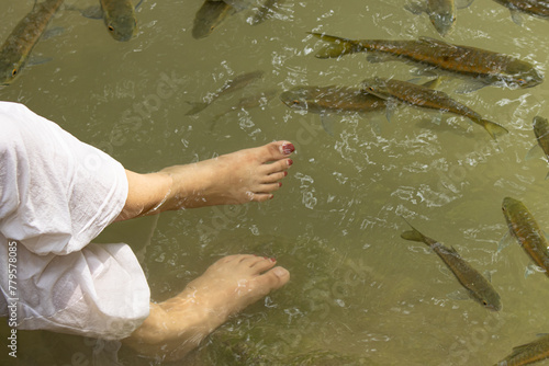feet in river water with fish. © studybos