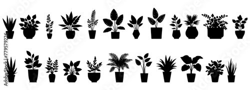Vector illustration. Set of plants in pots. Greenery. seal sticker. © Козич Денис