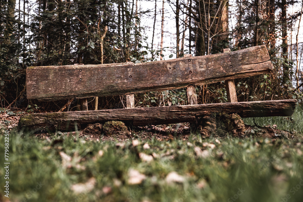 Fototapeta premium Wooden bench made of a log in a forest