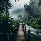 a wooden bridge leading into a river through jungles near a forest
