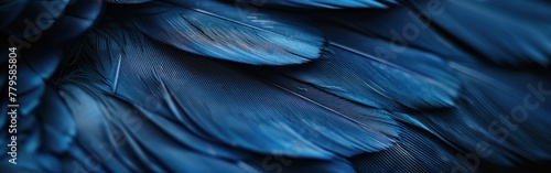 A detailed look at the navy blue feathers of a bird, highlighting the intricate patterns and textures photo