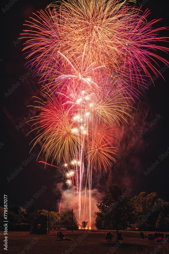 Vertical shot of vibrant, colorful fireworks exploding in the darkness at night