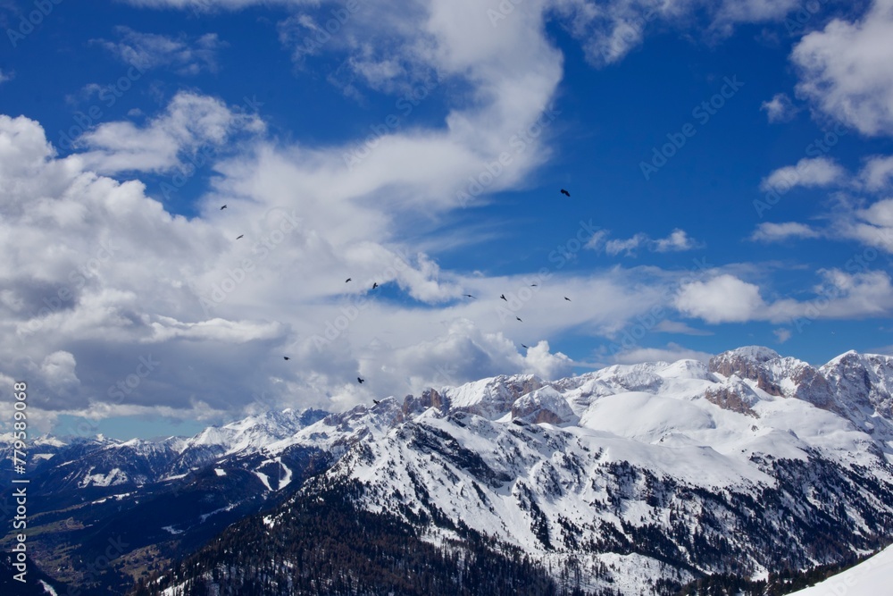 snow covered mountains