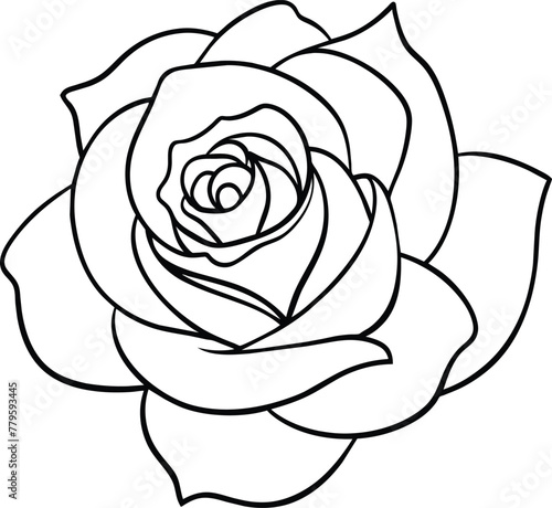 A rose flower outline vector art