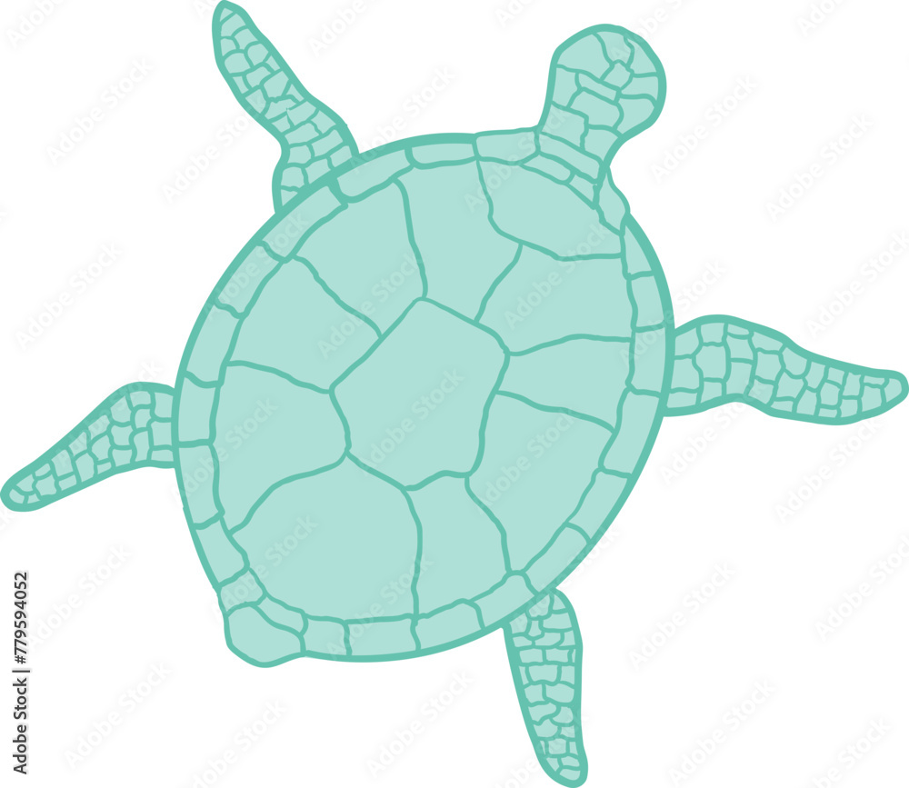 Obraz premium Marine Turtle