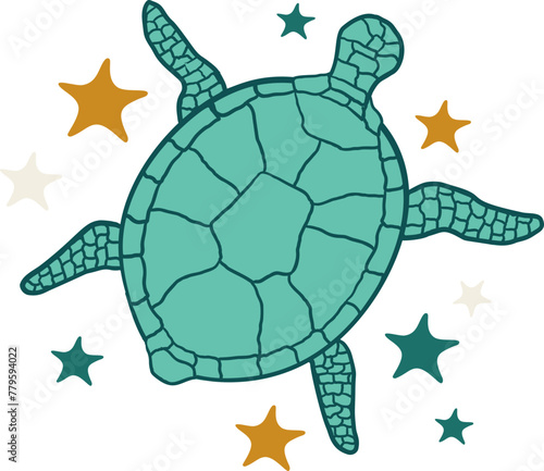 Turquoise Turtle