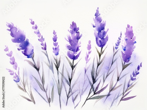 Lavender watercolor light background natural paper texture abstract watercolur Lavender pattern splashes aquarelle painting white copy space for banner design  greeting card