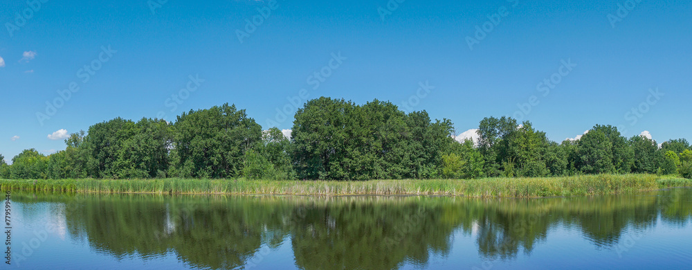 Fototapeta premium Forest and trees on the opposite shore of a quiet lake