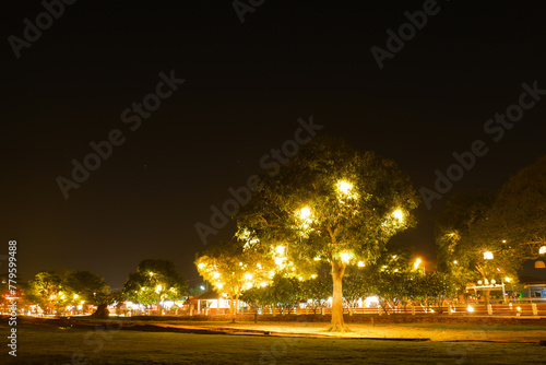 Night theme garden decoration wih tree decorated with light bulb. Night light background with copy space.