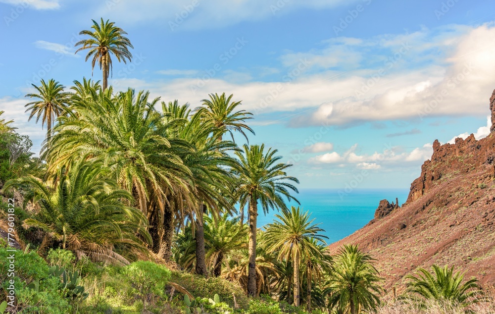 Scenic view of a landscape with tropical nature and geological formations in sunny weather