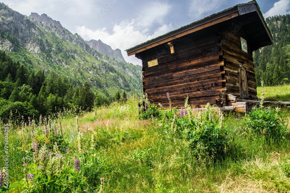 Cute small wooden house surrounded by green grass and mountains Cute small wooden house surrounded by green grass and mountains