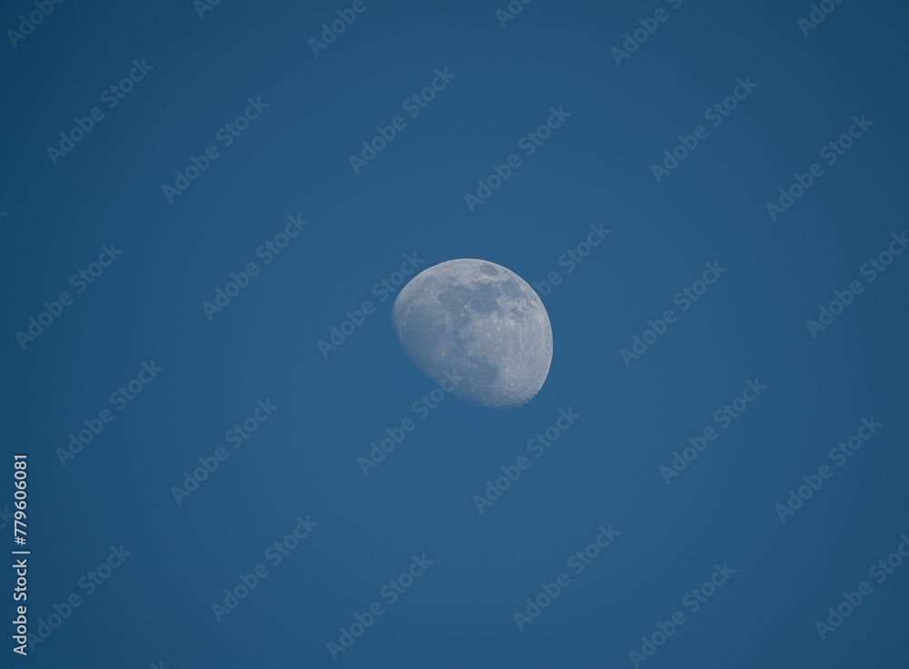 Beautiful almost full white moon in a blue sunset sky Beautiful almost full white moon in a blue sunset sky