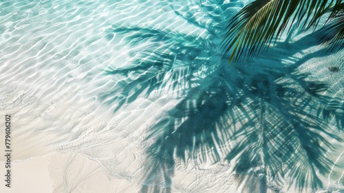 Tropical serenity: palm shadow on sandy beach