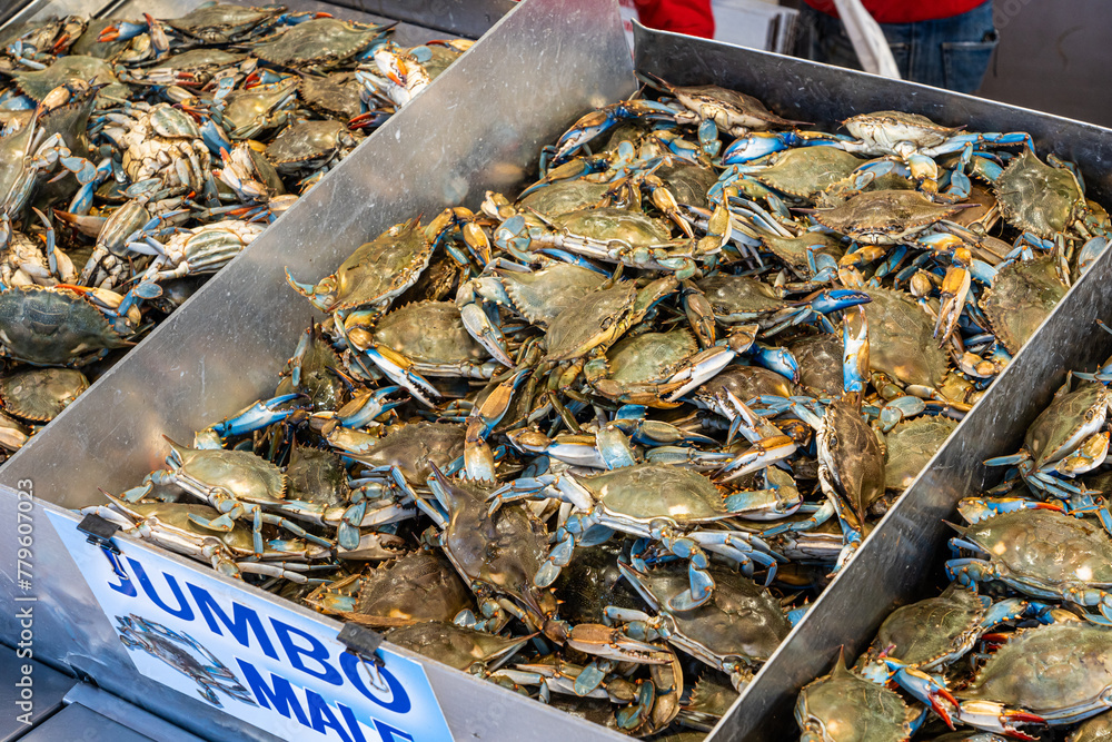 Pile of fresh blue crab in fish market at the Wharf, Washington DC.