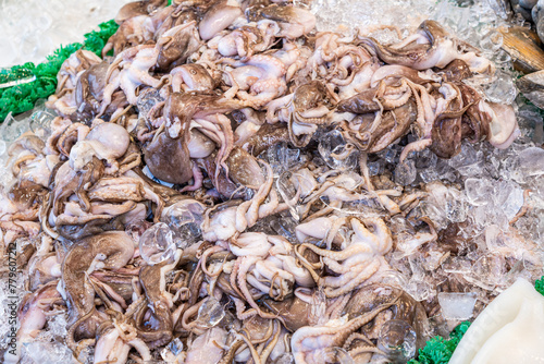 Fresh octopuses over ice in fish market.