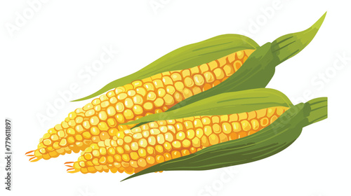 Hill Ears of ripe corn agricultural reaped crop illustration