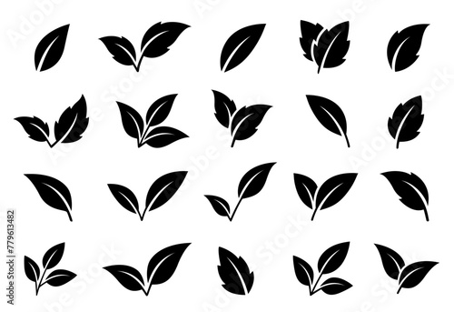 black plants leaves, letter v, set icons