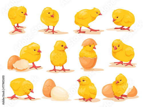 Cartoon hatched chicks. Hatching chick with little wings, baby chicken birth chickens brood easter farm bird cute babies, cartoon hen newborn born in egg neat vector illustration