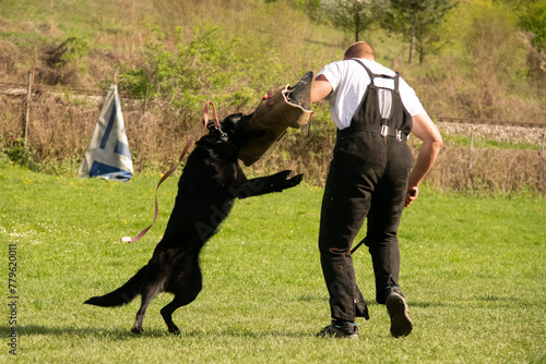 Protection training dog sport © Eliska