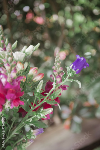 Flowers  bouquet  composition of beautiful fresh flowers with white  purple  pink  red and rose