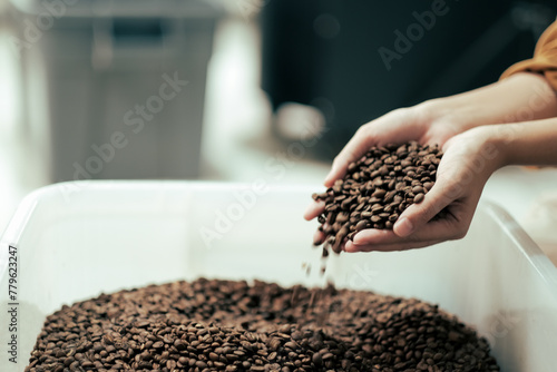 Close up worker is working in coffee roasting shop and checking coffee quality. Woman hand with blur motion coffee beans.
