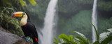 toucan in the jungle, waterfall in the background