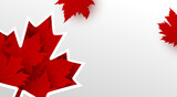 Canada day banner design of maple leaves on white background with copy space Vector illustration