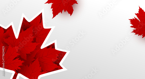 Canada day banner design of maple leaves on white background with copy space Vector illustration
