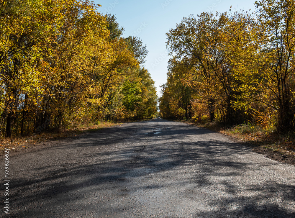 Obraz premium View of a rural road and colorful trees in autumn. Landscape with a roadway. Autumn forest with a country road. Journey. Autumn background.