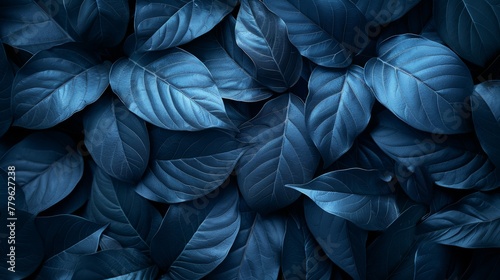 Close-up image of leaves with a deep blue hue, creating a calming texture