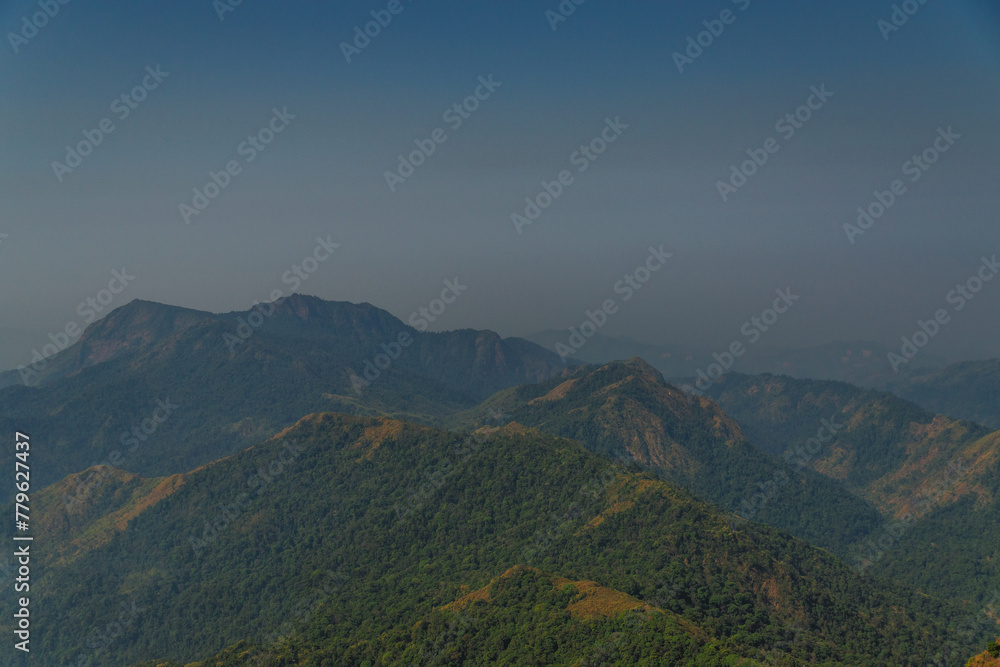A mountain range with a forest in the foreground