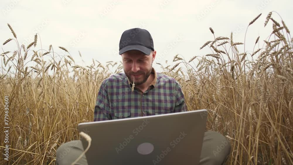 Ecologist at work, freelancer sits in a field and works on a laptop, remote work from nature, man texting and surf the internet while sitting in the field of rye. Ecologist at work, freelancer sits in a field and works on a laptop, remote work from nature, man texting and surf the internet while sitting in the field of rye.