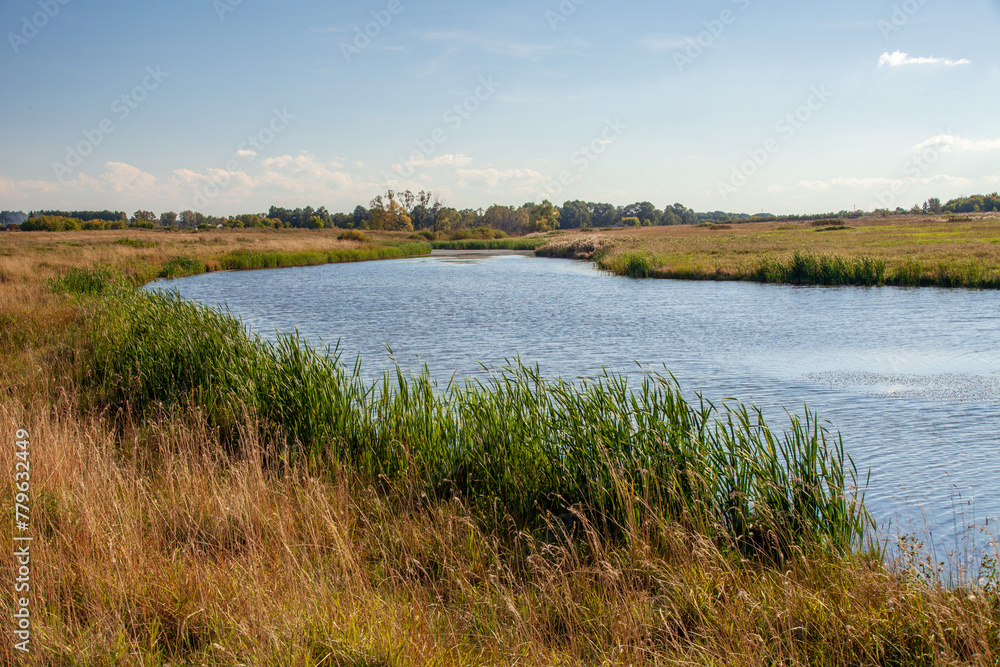 landscape. The largest lake. Blue sky with beautiful clouds. park in summer. Blue water in the river.	