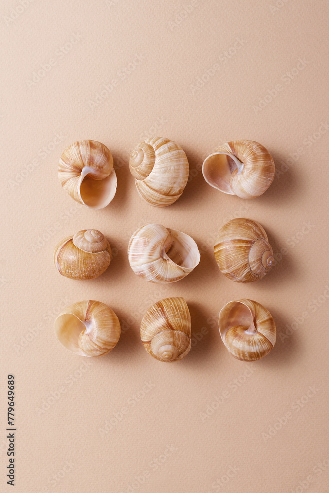 Different snail shells on a beige background, minimalism concept, monochrome palette
