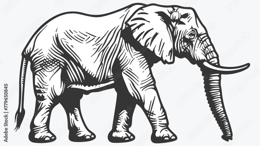 Graphical elephant isolated on white backgroundvector