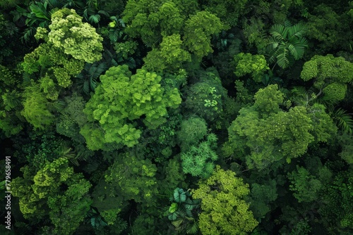 This photo captures the beauty of a vibrant forest, filled with an abundance of green trees, A panoramic birds-eye view of lush green forests, AI Generated