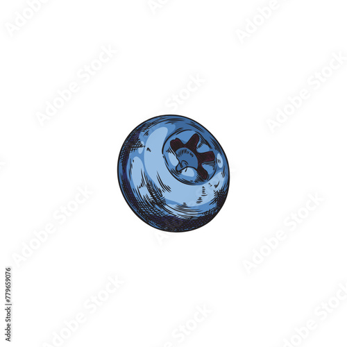Fresh blueberry hand drawn vector, one blue berry sketch icon, juicy natural farm or wild fruit, healthy snack food