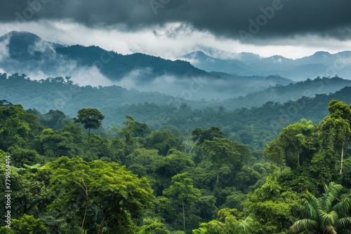 A forest scene with numerous trees stretching towards a cloudy sky  A panoramic view of the Amazon rainforest  AI Generated