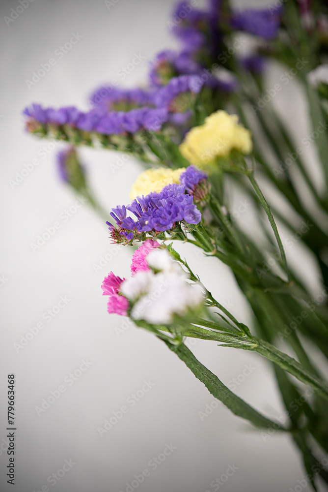 Obraz premium Naturaleza Primaveras flores jardín