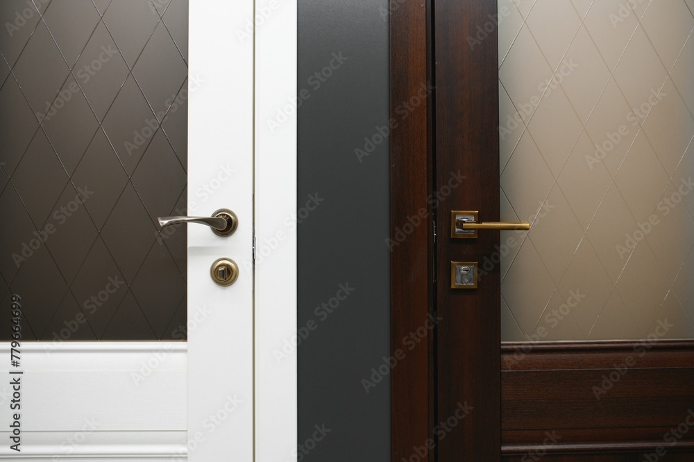 Obraz premium Shop window of doors. A large selection of doors for house